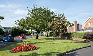 A small green in Ouston, County Durham - geograph-5095632