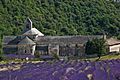 Abbaye de Sénanque