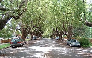 AbbottStreet,NewFarm,Queensland