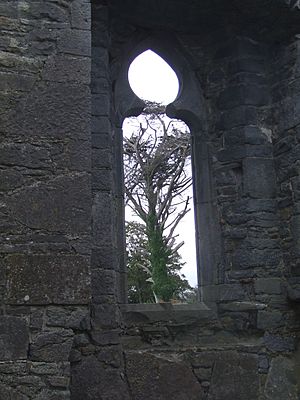 Ardfert friary window 2015