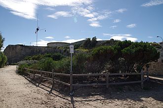 Arthur head res gnangarra.JPG