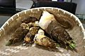 Bamboo sprouts in basket