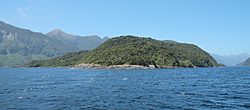 Bauza Island in Doubtful Sound.jpg