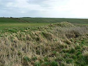 Casterley camp geograph-711218-by-Brian-Robert-Marshall.jpg