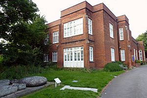 Cmglee Saffron Walden museum erratic