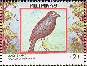 Copsychus cebuensis 1992 stamp of the Philippines.jpg