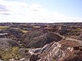 Dinosaur Provincial Park 01