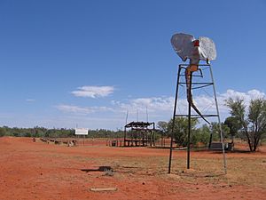 Eulo lizard racing track