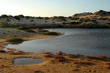 Exmouth caperange landscapee.jpg