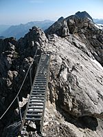 Heilbronner Weg Steinschartenkopf Ladder-bridge