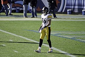 Hines Ward 2008