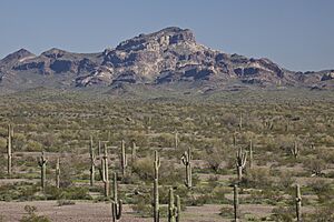 Hummingbird Springs Wilderness (9412743529)