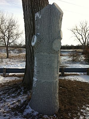 Lone Tree December 25 2012-2.JPG