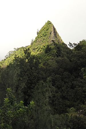 Looking Up @ Jurassic Park (16576548108)