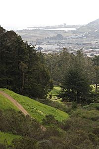 McLaren Park (2275900933)