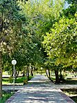 Nazar Garden of Kazerun 1