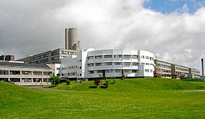 Ninewells cropped