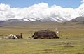 Nomads near Namtso