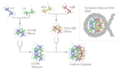 Nucleosome structure