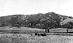 PetrifiedForestSpecimenRidgeYNP1938