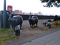 Pig Statues Deptford.jpg