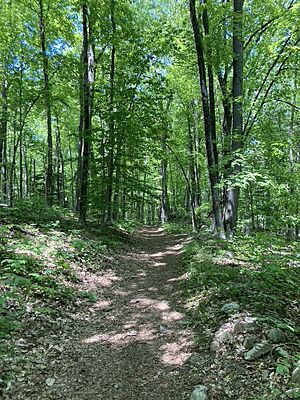 Ragged Mountain trail