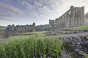 RievaulxAbbey-Je11-wyrdlight