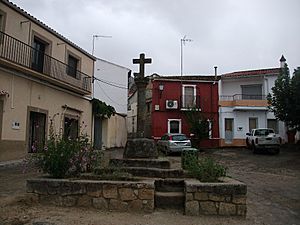 Santa Cruz square