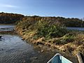 Saunders Lake Mound MN 03