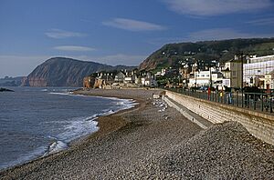 Sidmouth front west.jpg