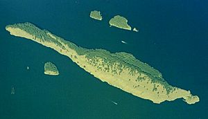 Spieden-island-1989-usgs