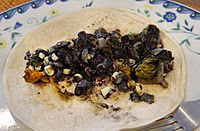 Taco-de-Huitlacoche