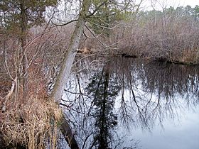 Tuckahoe River New Jersey