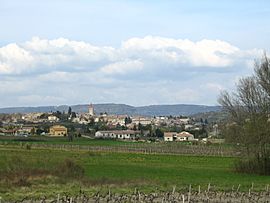 Villeneuve-de-Berg01.jpg