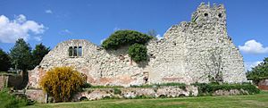 Wallingford castle ruins