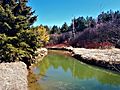 Wesley Brooks Memorial Conservation Area -Holland River-Newmarket-Ontario (2)