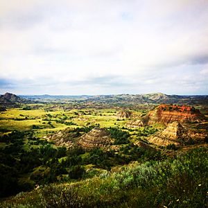 Western North Dakota