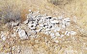 Wickenburg-Wickenburg Massacre grave