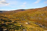 Wicklow Mountains National Park Glenealo Valley 01.JPG