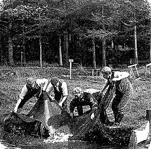 Wyresdale Park fishery circa 1900