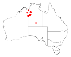 Acacia stipulosaDistMap857.png