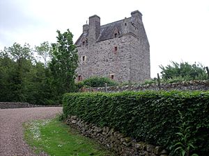 Aikwood Tower (geograph 2483956)