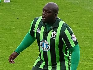 Akinfenwa 2015