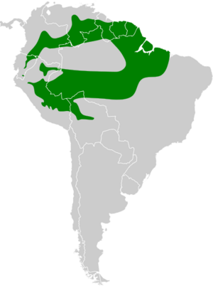 Anabacerthia ruficaudata map.svg