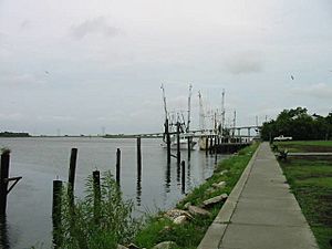 Apalachicolabay original