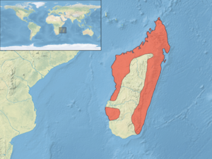 Aviceda madagascariensis distribution map.png