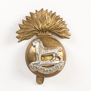 Badge, regimental (AM 790965-1).jpg