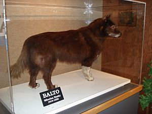 Balto CLE