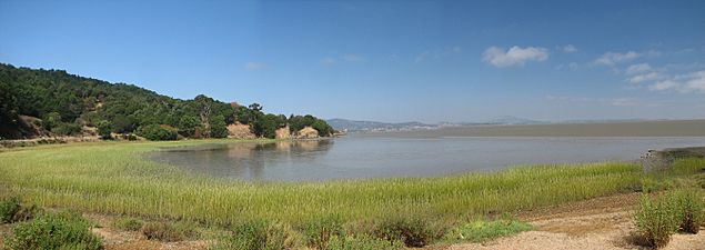 Bay view from China Camp Park