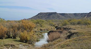 Brazos Double Mtn Fork 2009.jpg